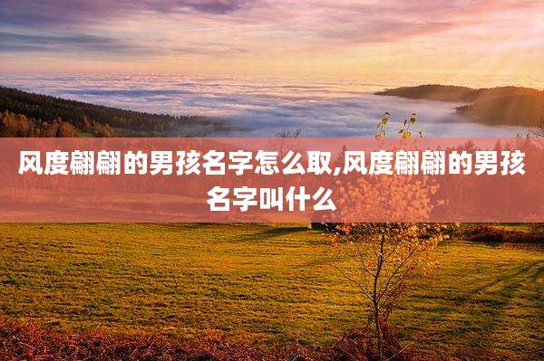 风度翩翩的男孩名字怎么取,风度翩翩的男孩名字叫什么