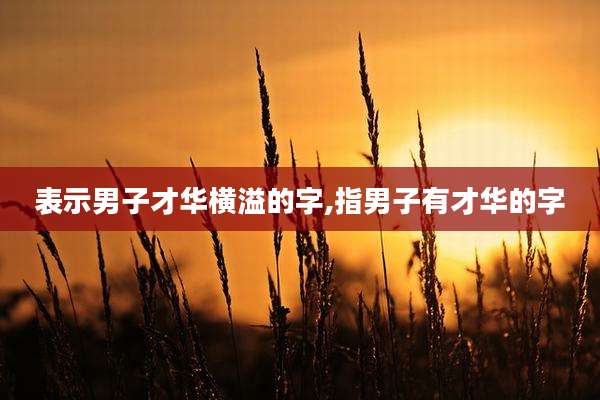 表示男子才华横溢的字,指男子有才华的字
