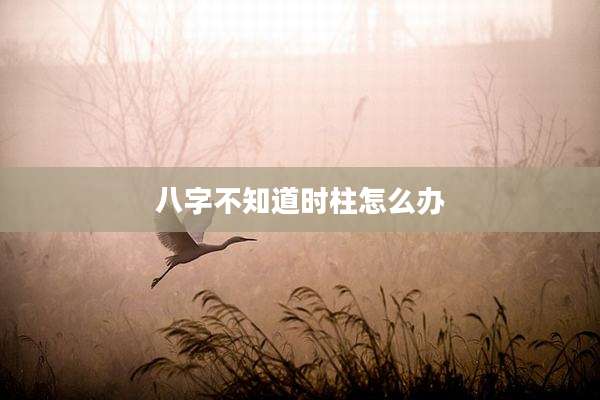 八字不知道时柱怎么办