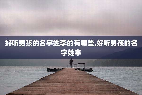 好听男孩的名字姓李的有哪些,好听男孩的名字姓李