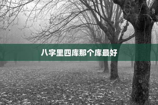 八字里四库那个库最好