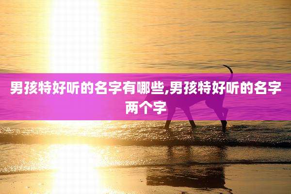 男孩特好听的名字有哪些,男孩特好听的名字两个字