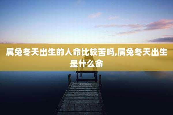 属兔冬天出生的人命比较苦吗,属兔冬天出生是什么命