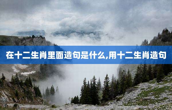在十二生肖里面造句是什么,用十二生肖造句