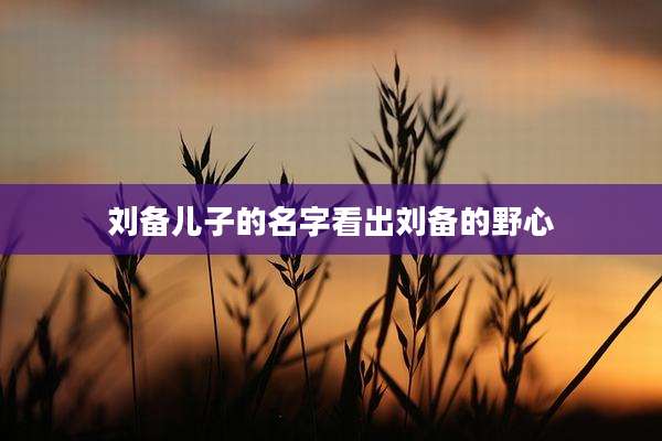 刘备儿子的名字看出刘备的野心