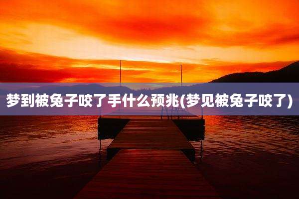 梦到被兔子咬了手什么预兆(梦见被兔子咬了)