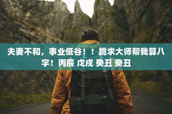 夫妻不和，事业低谷！！跪求大师帮我算八字！丙辰 戊戌 癸丑 癸丑