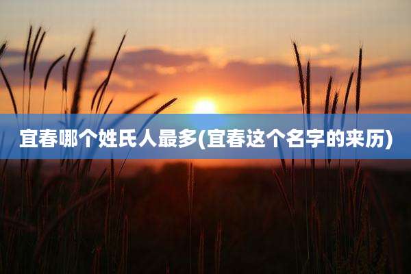 宜春哪个姓氏人最多(宜春这个名字的来历)
