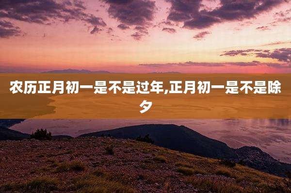 农历正月初一是不是过年,正月初一是不是除夕