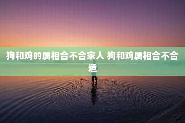 狗和鸡的属相合不合家人 狗和鸡属相合不合适