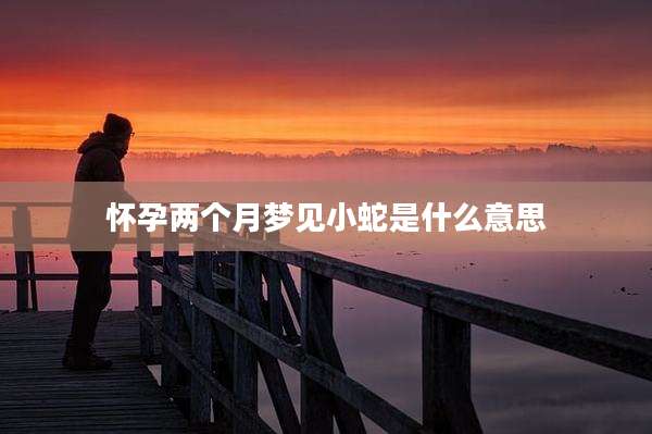 怀孕两个月梦见小蛇是什么意思