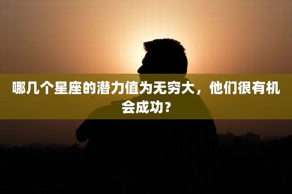 哪几个星座的潜力值为无穷大，他们很有机会成功？