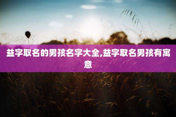 益字取名的男孩名字大全,益字取名男孩有寓意