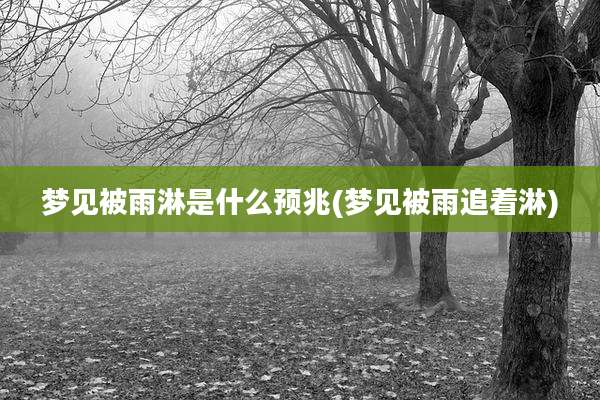 梦见被雨淋是什么预兆(梦见被雨追着淋)