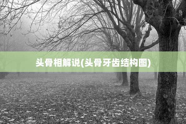 头骨相解说(头骨牙齿结构图)