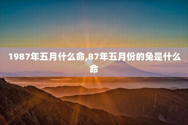 1987年五月什么命,87年五月份的兔是什么命