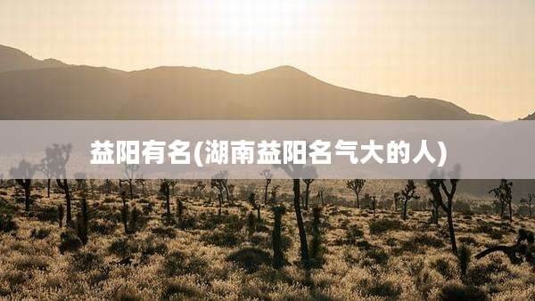 益阳有名(湖南益阳名气大的人)