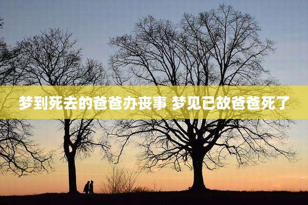 梦到死去的爸爸办丧事 梦见已故爸爸死了