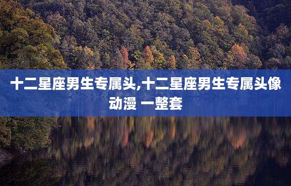 十二星座男生专属头,十二星座男生专属头像动漫 一整套