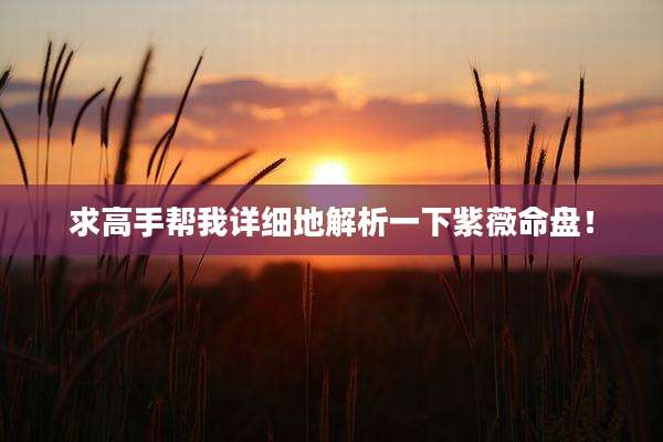 求高手帮我详细地解析一下紫薇命盘!