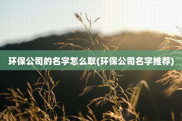 环保公司的名字怎么取(环保公司名字推荐)