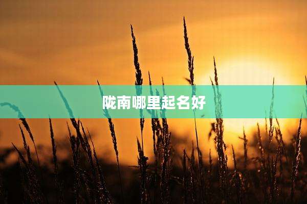 陇南哪里起名好