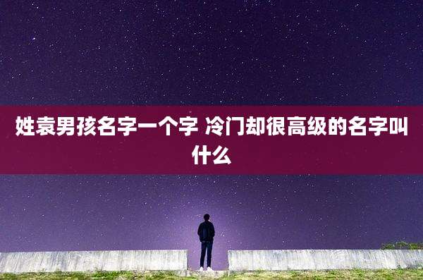 姓袁男孩名字一个字 冷门却很高级的名字叫什么