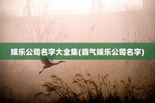 娱乐公司名字大全集(霸气娱乐公司名字)
