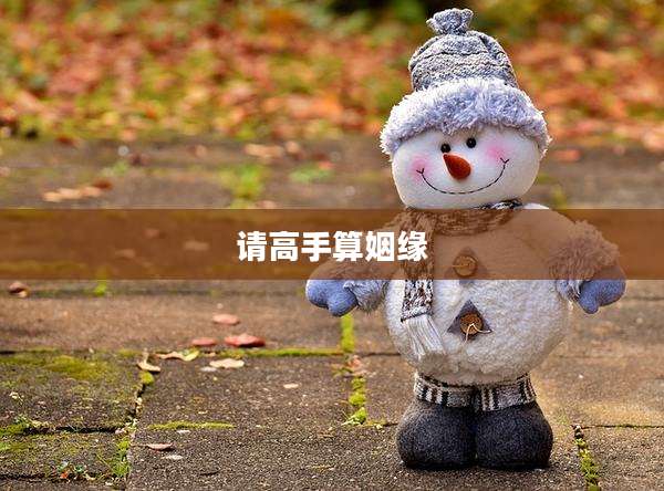 请高手算姻缘