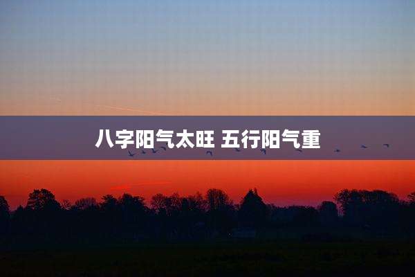 八字阳气太旺 五行阳气重