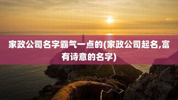 家政公司名字霸气一点的(家政公司起名,富有诗意的名字)