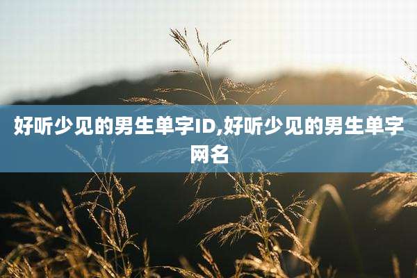 好听少见的男生单字ID,好听少见的男生单字网名