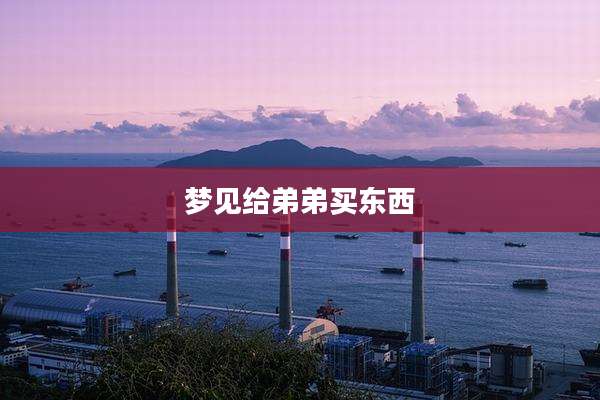 梦见给弟弟买东西