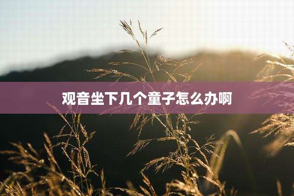 观音坐下几个童子怎么办啊