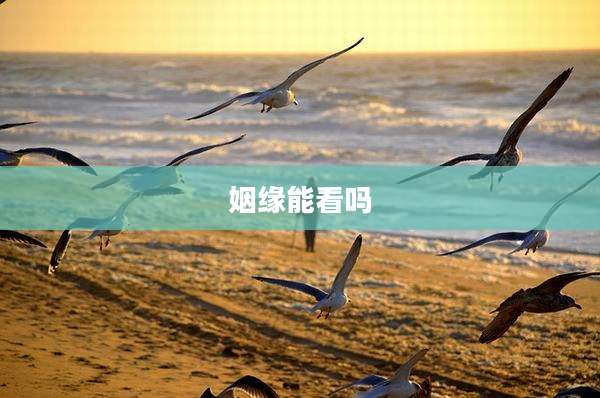 姻缘能看吗