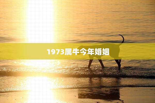 1973属牛今年婚姻