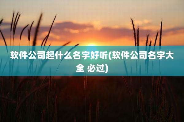软件公司起什么名字好听(软件公司名字大全 必过)