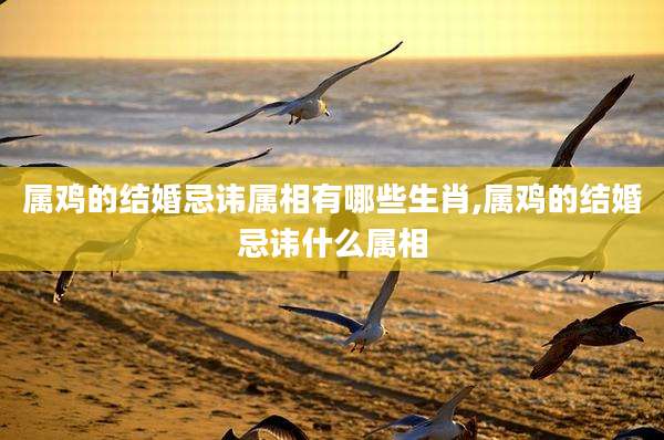 属鸡的结婚忌讳属相有哪些生肖,属鸡的结婚忌讳什么属相
