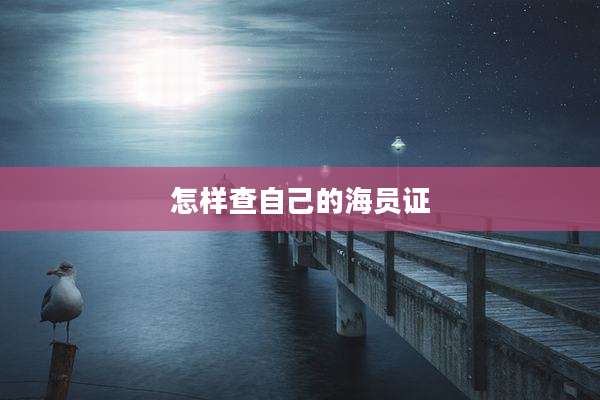怎样查自己的海员证
