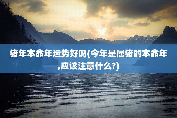 猪年本命年运势好吗(今年是属猪的本命年,应该注意什么?)