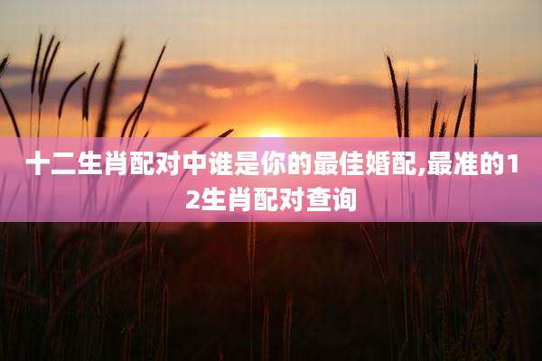 十二生肖配对中谁是你的最佳婚配,最准的12生肖配对查询