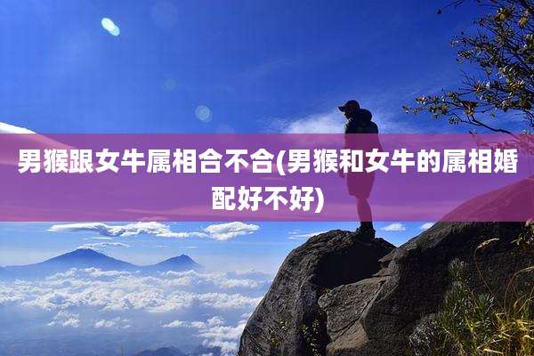 男猴跟女牛属相合不合(男猴和女牛的属相婚配好不好)