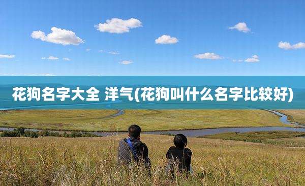 花狗名字大全 洋气(花狗叫什么名字比较好)