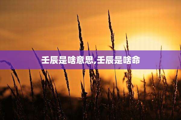 壬辰是啥意思,壬辰是啥命