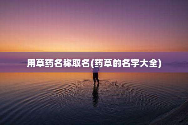 用草药名称取名(药草的名字大全)