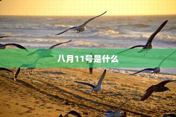 八月11号是什么
