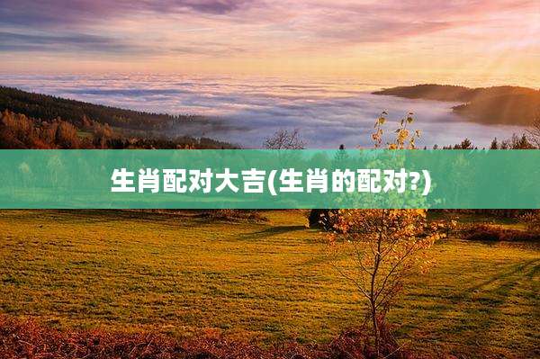 生肖配对大吉(生肖的配对?)