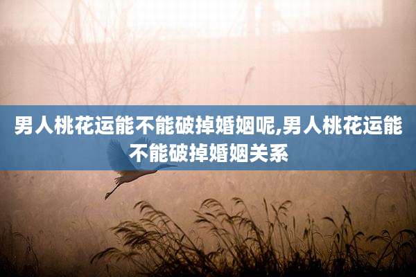 男人桃花运能不能破掉婚姻呢,男人桃花运能不能破掉婚姻关系