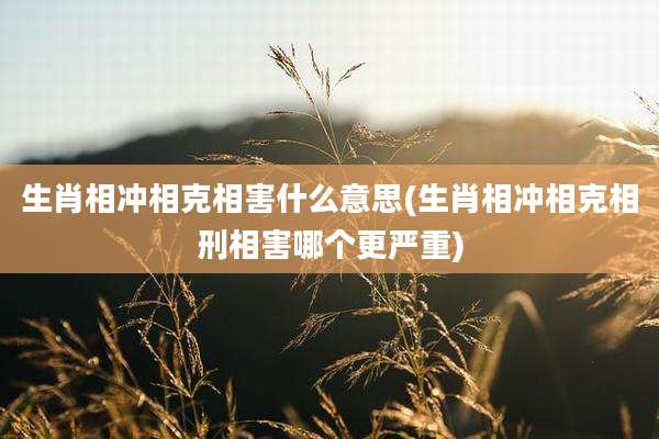 生肖相冲相克相害什么意思(生肖相冲相克相刑相害哪个更严重)