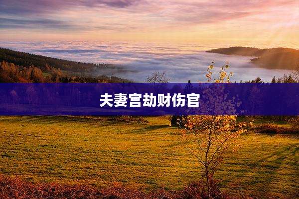 夫妻宫劫财伤官